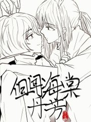 深入了解 芒果视频